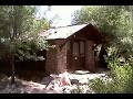 Around the big tree in cottonwood campsite