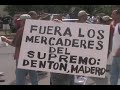 Protesta contra decisi�n del Tribunal Supremo a favor de Paseo Caribe