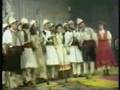 Ansambli folklorik cipini