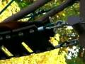 videos de Asahiyama Zoo；Red Panda　1