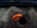 100_1792.mov 100_1792.mov
