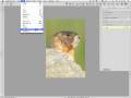 Capture NX2: Versions