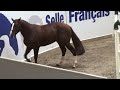 Ukylou du Bouchon