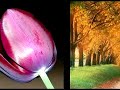 paisagens