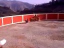 Inauguracion de Plaza de Toros Tambo