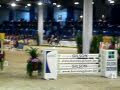 Wilm Vermeir Liege 1m40