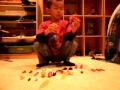 Bionicle Jaller review