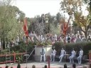 Walt Disney World Epcot- Dragon Legend Acrobats. Pt 2