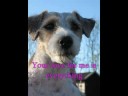 Abbie, my love!