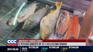 COMERCIANTE FERNANDO CORROTO