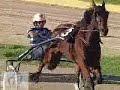 78� Derby del Trotto Italiano 2005 - FAIRBANK GI