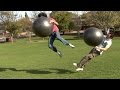 Exercise ...