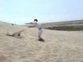 videos de mortales ventanilla paraiso break