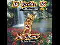 las-gaviotas-grupo-jaguar-de-valle-hermoso.html