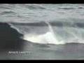 El Fronton - free surf