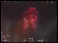 quando a mare encher CASSIA ELLER  AO VIVO MOGI