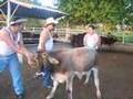 garris montando