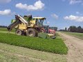VNK Oogst kruiden