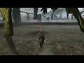 videos de lance bombing gold ian