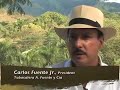 arturo-fuente-cigars.html