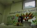 Earth Voice Cafe at ZAIM~野口理佐子さん『里山は地球を救うーSATOYA SYSTEMとは』