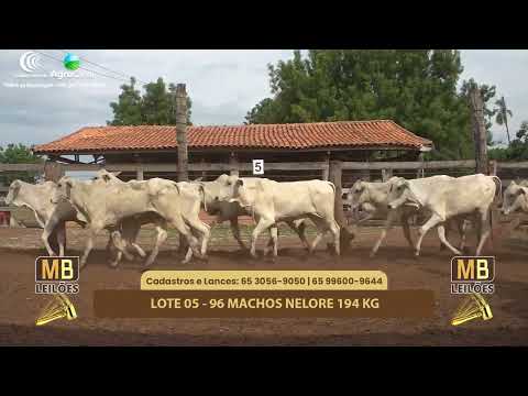 522 LEILO VIRTUAL MB LEILES