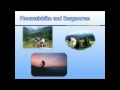 Tagungshotels Bayern Hotels Chiemsee Tagungen Hambergers Posthotel Tagungshotel Alpen Tirol Seminarhotel Bayern Seminare Chiemsee Tagungshotel Messe Muenchen restaurant kopnferenzen Firmen Events Hotels Alm Betriebsfeier in Reit im Winkl Location
