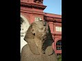 Cairo Tourism Travel Video