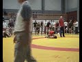 Zagreb open 5 - 1