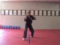 Michael Miller American Kenpo Promo
