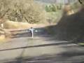 videos de 50 mph on a longboard? Heck yeah!