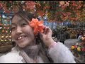 Nabana no Sato -TONS of awesome flowers and lights.