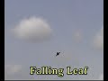 1/25 RC Sukhoi Su-30 Flanker-C with thrust vectoring