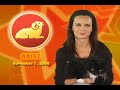 Aries Horoscope November 7, 2008 Aries Horoscope November 7, 2008
