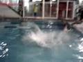 Aniversário com banho de piscina