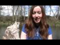 April 17 - RANDO and Wedding