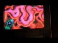 videos de zoohospital