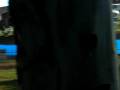 videos de Video Taura.MOV