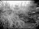 Silent Xmas