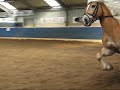 Riding competition