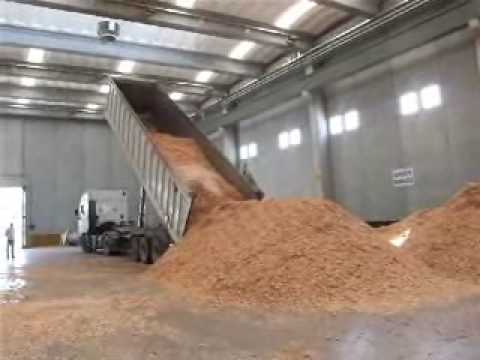 Guarda il video