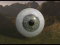 eye model