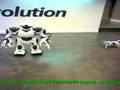 Robosapien vs. Robopet - ROBORAMA.info