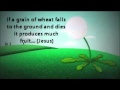 Mission Britain Dandelion Video