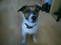 Jimmy\