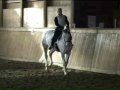 Picasso Jr dressage video