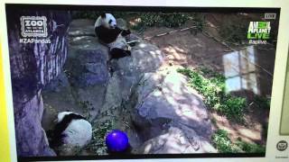 Zoo Atlanta