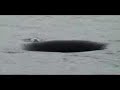 Weird hole phenomenon in Japan