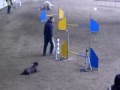 STAFFY ZEUS-Verolanuova 02.12.07.mp4