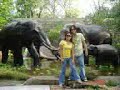 aying and teena